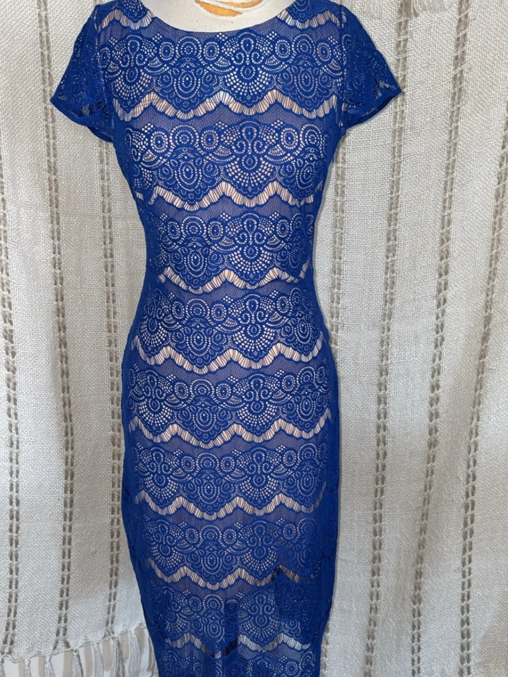bebe fitted royal